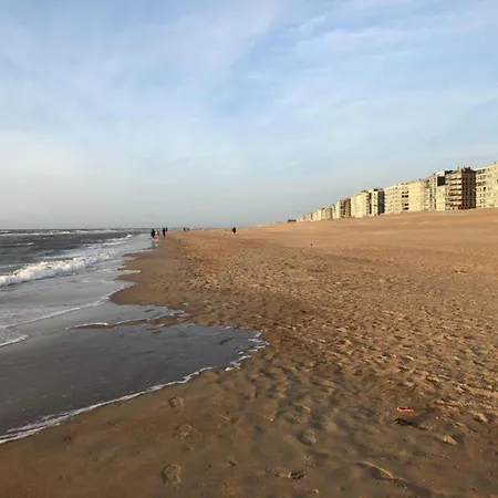 Near The Sea With Modern Comfort, Cleaning Included Koksijde