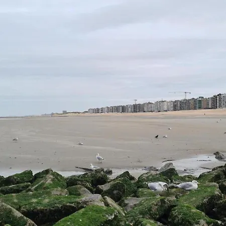 Near The Sea With Modern Comfort, Cleaning Included * Koksijde