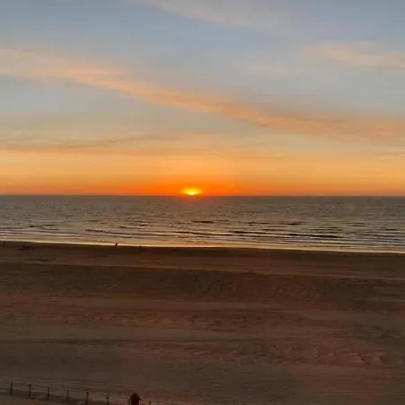 Apartment Near The Sea With Modern Comfort, Cleaning Included Koksijde